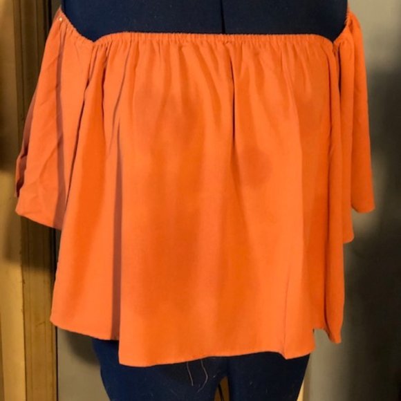 BlueTime Chiffon Ruffled Pink Off Shoulder Top - Picture 4 of 4